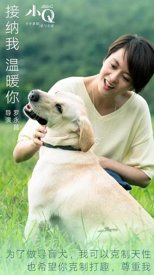 日本认可的国际驾照